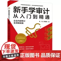 新手学审计从入门到精通:企业内部审计全流程实操