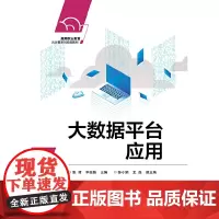 [正版书籍]大数据平台应用