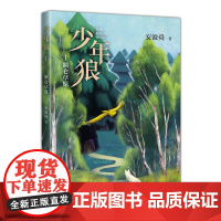 [正版书籍]少年狼. 1 额仑草原