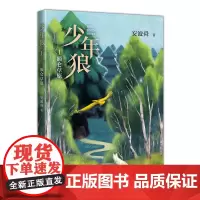 [正版书籍]少年狼. 1 额仑草原