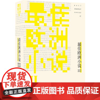 [正版书籍]最佳欧洲小说III(三十二国家、数十种语言,三十六篇佳作,打开“欧洲文学”的边界)