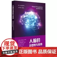 [正版书籍]人脑的可塑性与教育