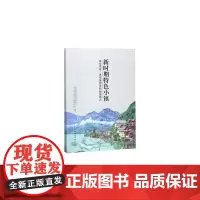 [正版书籍]新时期特色小镇:成功要素、典型案例及投融资模式