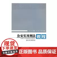 [正版书籍]公安实用刑法教程