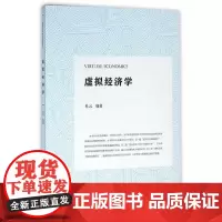 [正版书籍]虚拟经济学