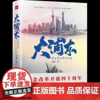 [正版书籍]大浦东(喜迎浦东开发开放30周年!)