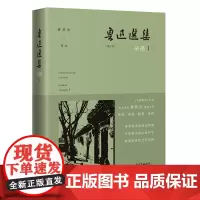 鲁迅选集杂感1(精装) 杂文 林贤治评注点评导读 花城出版社正版书籍