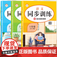 套装3本新版同步训练五年级人教版rj语文数学英语上册小学课时作业练习黄冈一课一练天天练练习册专项训练全套课课练荣恒