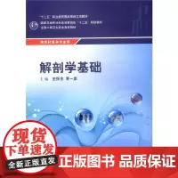 [正版书籍]解剖学基础
