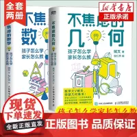 不焦虑的数学+不焦虑的几何 全套2册 写给中小学生和家长的数学教育书女孩数学之美与生活分析离散数学立体几何科普入门图书籍