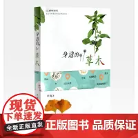 《身边的草木》江城科普读库系列 儿童科普图书 作者杜巍