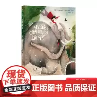 我最糟糕的愿望精装绘本适合3-4-5-6岁以上儿童启蒙早教阅读为孩子带来全新作品教会孩子学会表达情感传递爱与美好蒲公英正