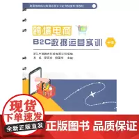 跨境电商B2C数据运营实训(中级)
