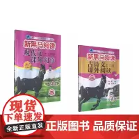 新黑马阅读:2021年小学4年级现代文+古诗词课外阅读(套装2册)