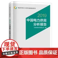 能源与电力分析年度报告系列 2019 中国电力供需分析报告