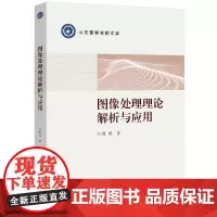 图像处理理论解析与应用