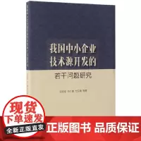 [正版书籍]我国中小企业技术源开发的若干问题研究
