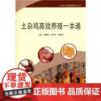[正版书籍]土杂鸡高效养殖一本通