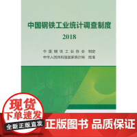 [正版书籍]中国钢铁工业统计调查制度 2018