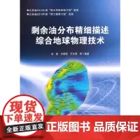 [正版书籍]剩余油分布精细描述综合地球物理技术