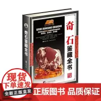 奇石鉴藏全书(古玩鉴藏全书)