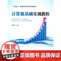 [正版书籍]计算机基础实训教程