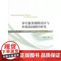 [正版书籍]审计服务规模误区与异质协同路径研究