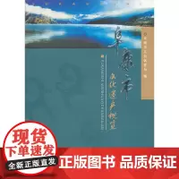 [正版书籍]阜康市文化遗产概览