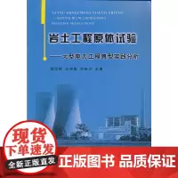 [正版书籍]岩土工程原体试验——大型电力工程典型实践分析