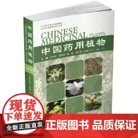 [正版书籍]中国药用植物(十二)