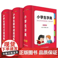小学生彩图版工具书套装(字典+成语+现代汉语)大开本 大字彩图版小学1-6年级适用