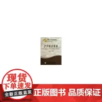 [正版书籍]21世纪会计学系列教材 会计信息系统(第4版)