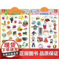 瑞莉兔双面发声大挂图 水果蔬菜 日常用品 海润阳光 编著 著 家庭教育少儿 正版图书籍 机械工业出版社