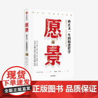 中信出版社 愿景 孙正义一生的精进哲学 人生大起大伏之后的定海心经 跟随孙正义三十多年的随身记者深度呈现 井上笃夫著