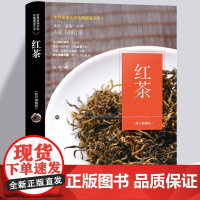 红茶 从新手到行家 收藏与品鉴 识茶品茶泡茶 茶经 陆羽 图文珍藏 茶类书籍 茶经国学经典 茶文化 茶书 茶道 茶艺 茶