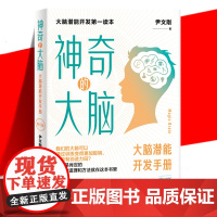 正版 神奇的大脑(修订版)大脑知识读物 大脑潜能训练手册 儿童孩子大脑训练发展科学讲述大脑的科学理论和训练方法 世界