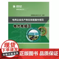 [正版书籍]电网企业生产岗位技能操作规范 电力电缆工