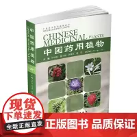 [正版书籍]中国药用植物.6