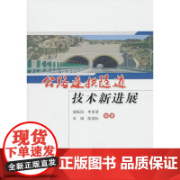 [正版书籍]公路连拱隧道技术新进展