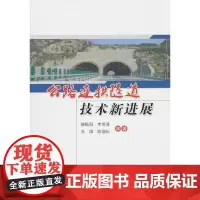 [正版书籍]公路连拱隧道技术新进展