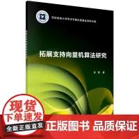[正版书籍]拓展支持向量机算法研究