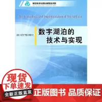 [正版书籍]数字湖泊的技术与实现