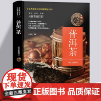 普洱茶 从新手到行家 图解普洱茶茶文化书茶艺大全书籍书 识茶品茶泡茶图典中国茶道文化书籍 普洱茶书籍书籍 茶文化百科图解