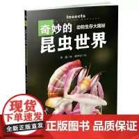 [正版书籍]动物生存大揭秘:奇妙的昆虫世界