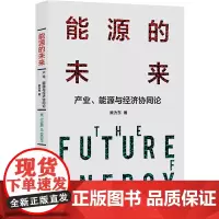能源的未来:产业、能源与经济协同论