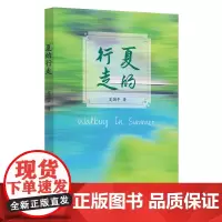 [正版书籍]夏的行走