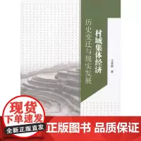 [正版书籍]村域集体经济:历史变迁与现实发展
