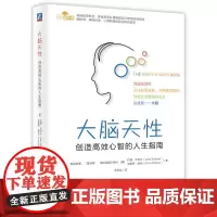 大脑天性:创造高效心智的人生指南