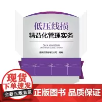 [正版书籍]低压线损精益化管理实务