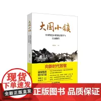 [正版书籍]大国小镇:中国特色小镇顶层设计与行动路径